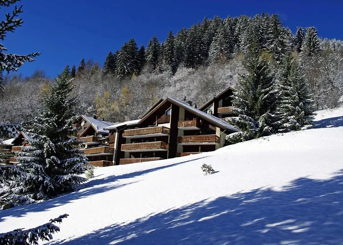Bruyeres - Les Hauts De Planchamp - 4 Pieces Pour 6 Personnes Mae-3320 Apartment La Plagne