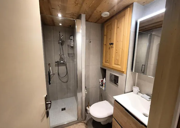 Bruyeres - Les Hauts De Planchamp - 4 Pieces Pour 6 Personnes Mae-3320 * La Plagne