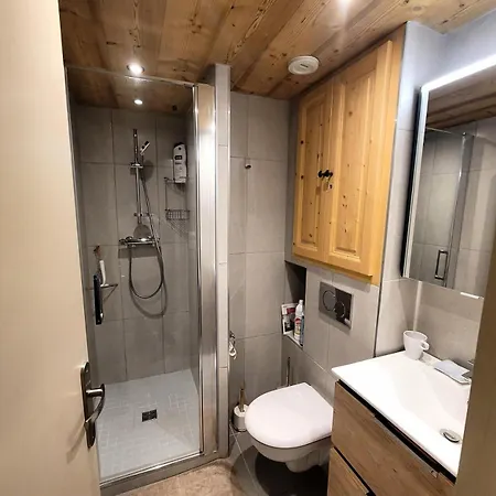 Bruyeres - Les Hauts De Planchamp - 4 Pieces Pour 6 Personnes Mae-3320 * La Plagne